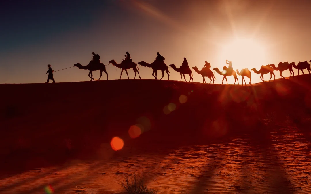 EXCURSIÓN DESIERTO